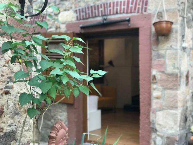 Apartament Buedinger Hof Weinheim Zewnętrze zdjęcie