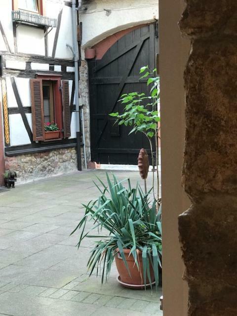 Apartament Buedinger Hof Weinheim Zewnętrze zdjęcie